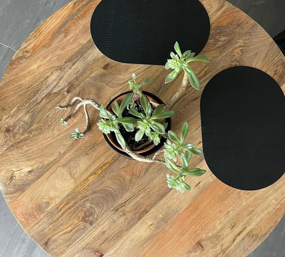 Milli'S Home روما