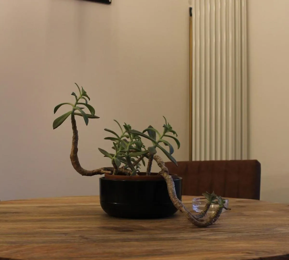 Appartamento Milli'S Home Roma